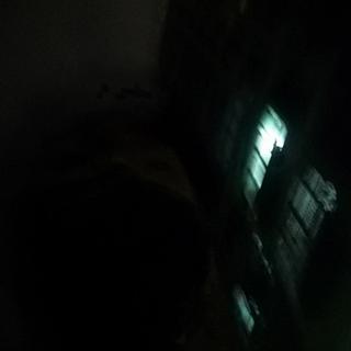 一介平民 怎敢高攀