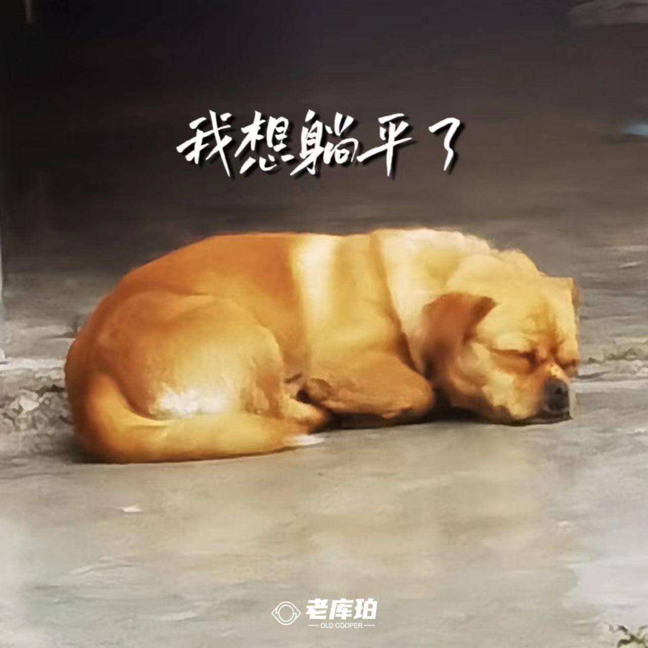 我想躺平了
