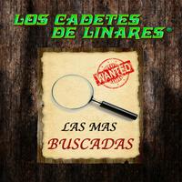 原版伴奏   Una Pagina Mas - Los Cadetes De Linares ( Karaoke ) [无和声]