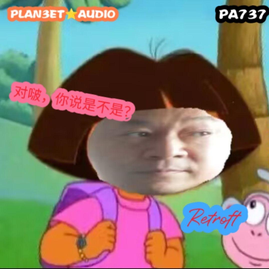 对啵，你说是不是？