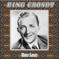 原版伴奏   True Love - Bing Crosby (karaoke) [无和声]