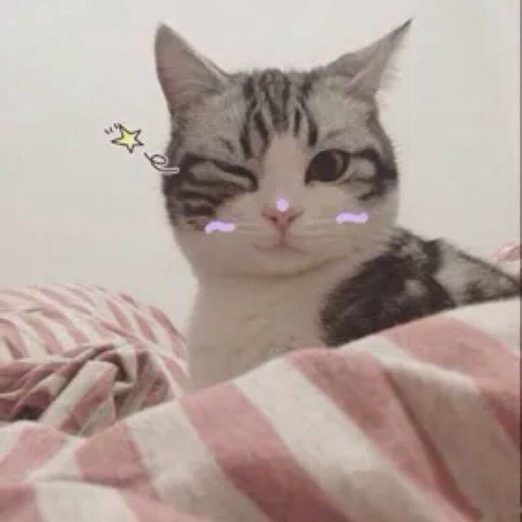 96-Music-周星星（什么什么六一呀 remix）