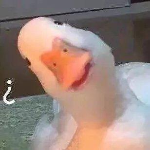 八组鹅的开车歌单