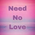 Need No Love
