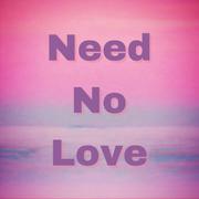 Need No Love专辑