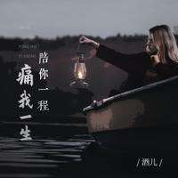 酒儿 - 陪你一程痛我一生（DJBanan版原版伴奏）