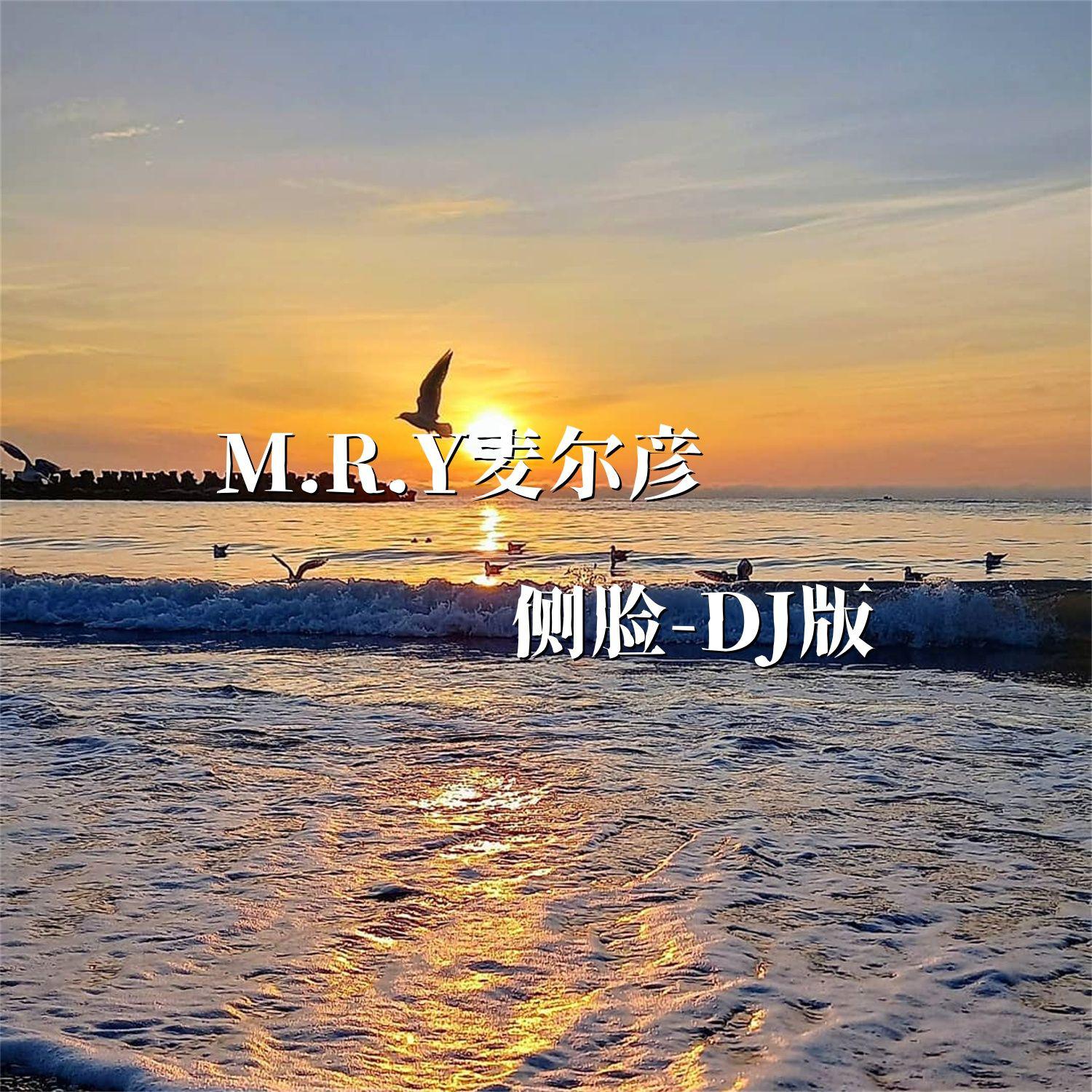 侧脸（DJ版）