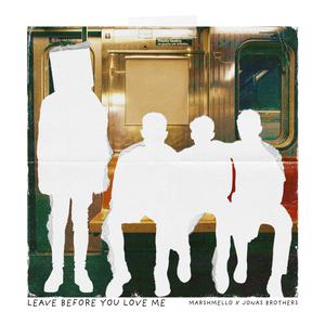 Marshmello & Jonas Brothers - Leave Before You Love Me (VS Instrumental) 无和声伴奏 （降4半音）