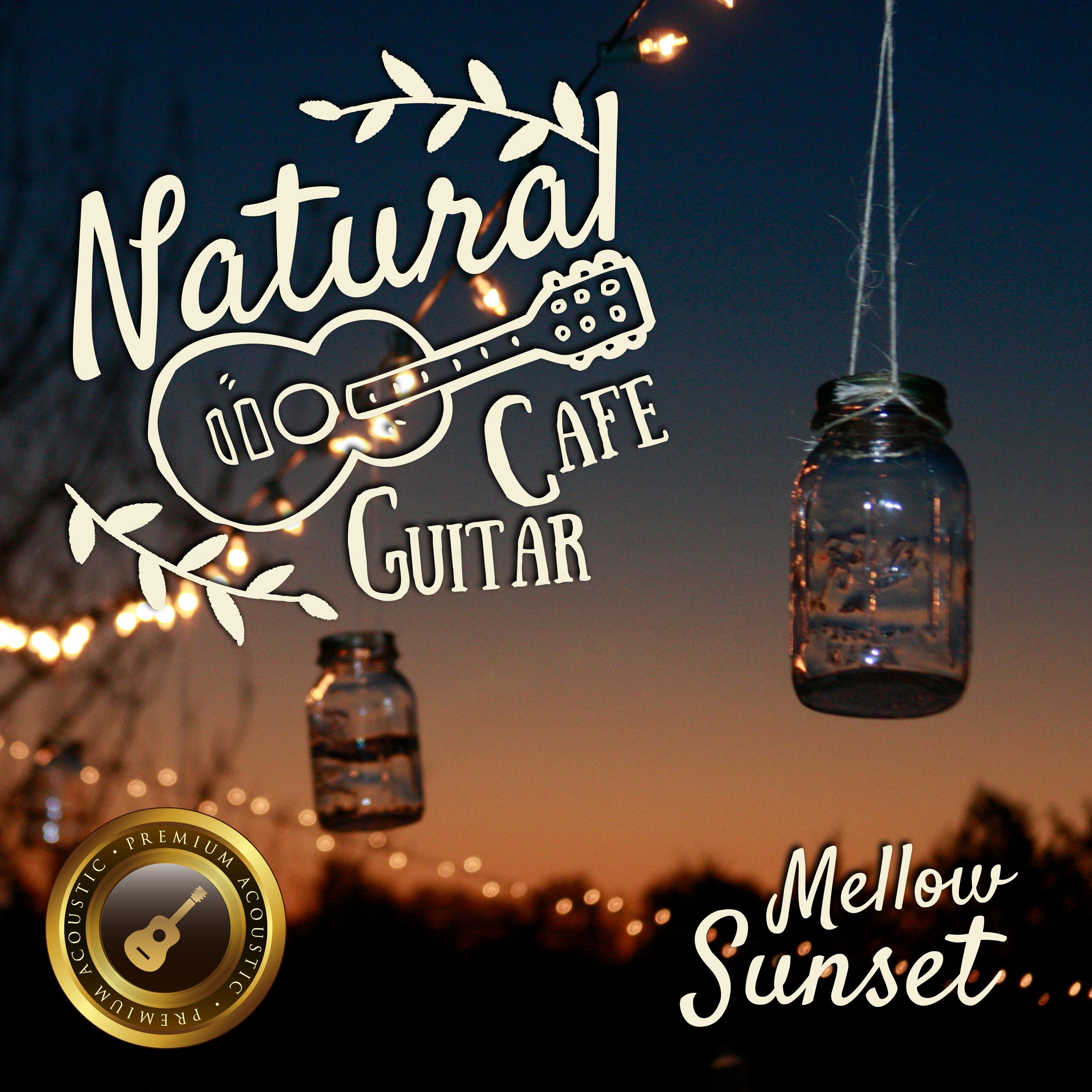 naturalcafeguitarmellowsunsetmoods