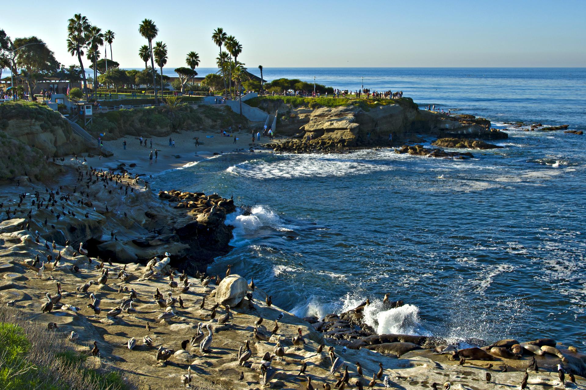 La Jolla Cove专辑