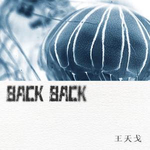 王天戈 - Back Back （降8半音）