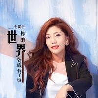 天蝎丹 - 你的世界到底有了谁(DJ何鹏版)(伴奏)