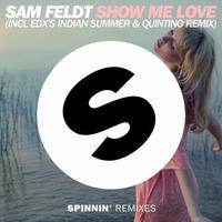 Show Me Love - Sam Feldt ft. Kimberly Anne (PT karaoke) 带和声伴奏