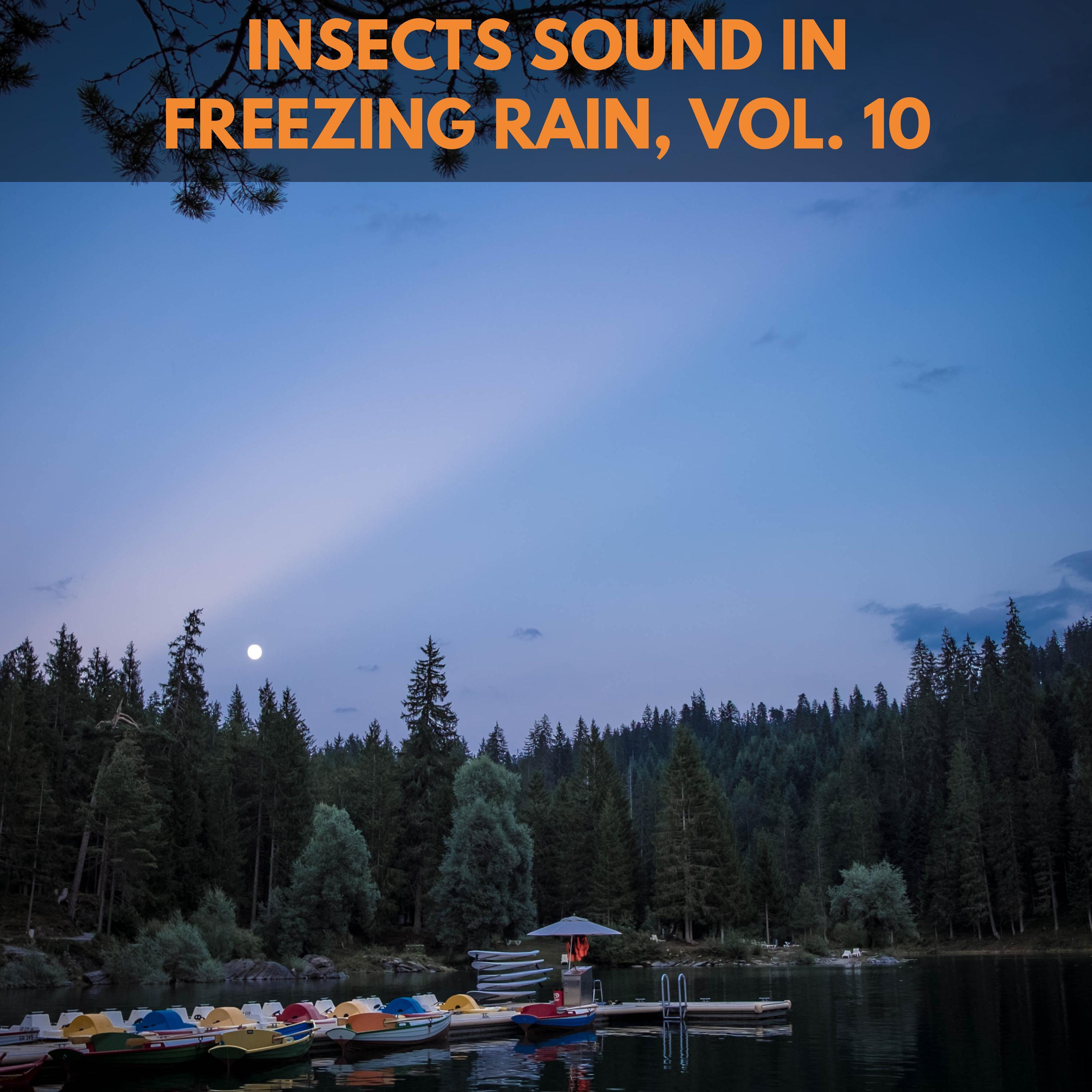 Talking Insects - Emma Scott Nature Studio - 单曲 - 网易云音乐