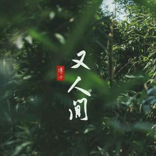 当归空禅.
