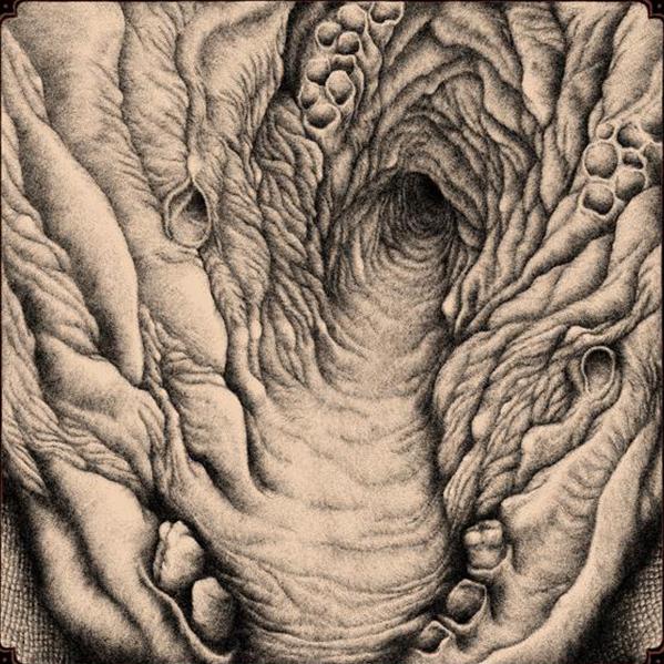Aphotic Womb