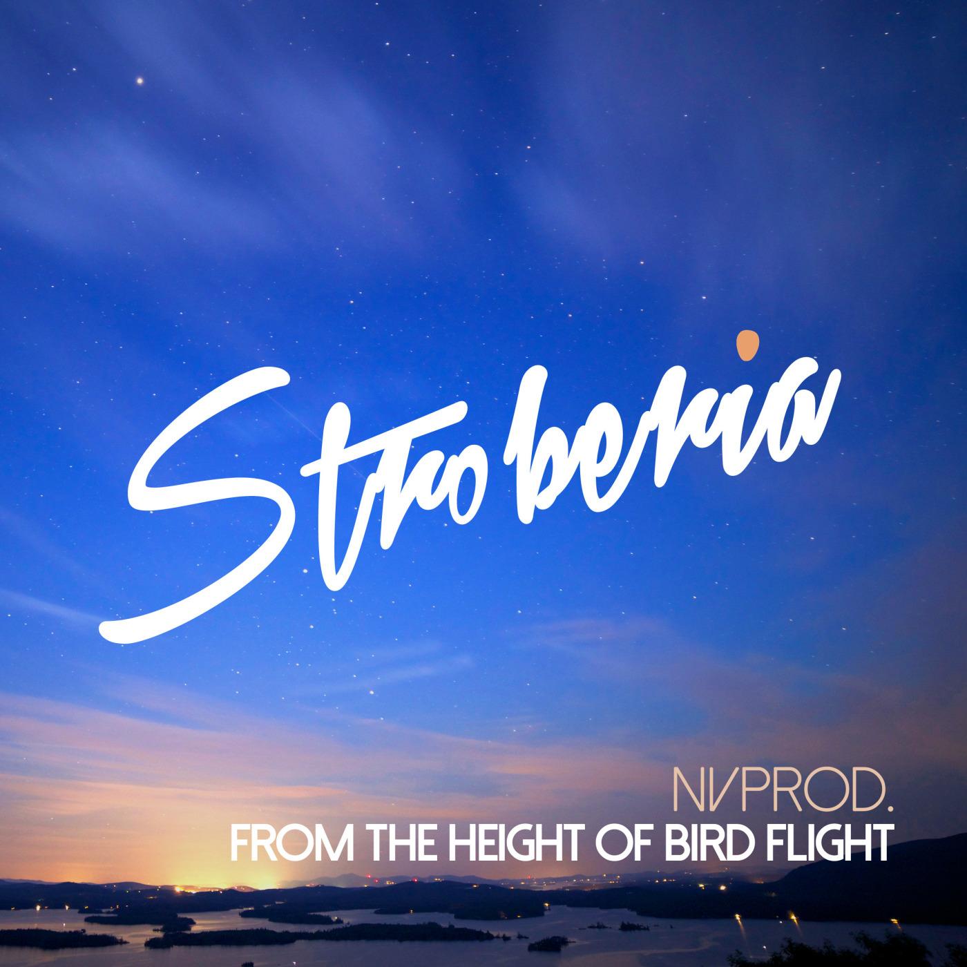 From the Heigh of Birds Flight