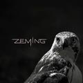 ZEMING