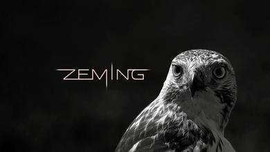 ZEMING