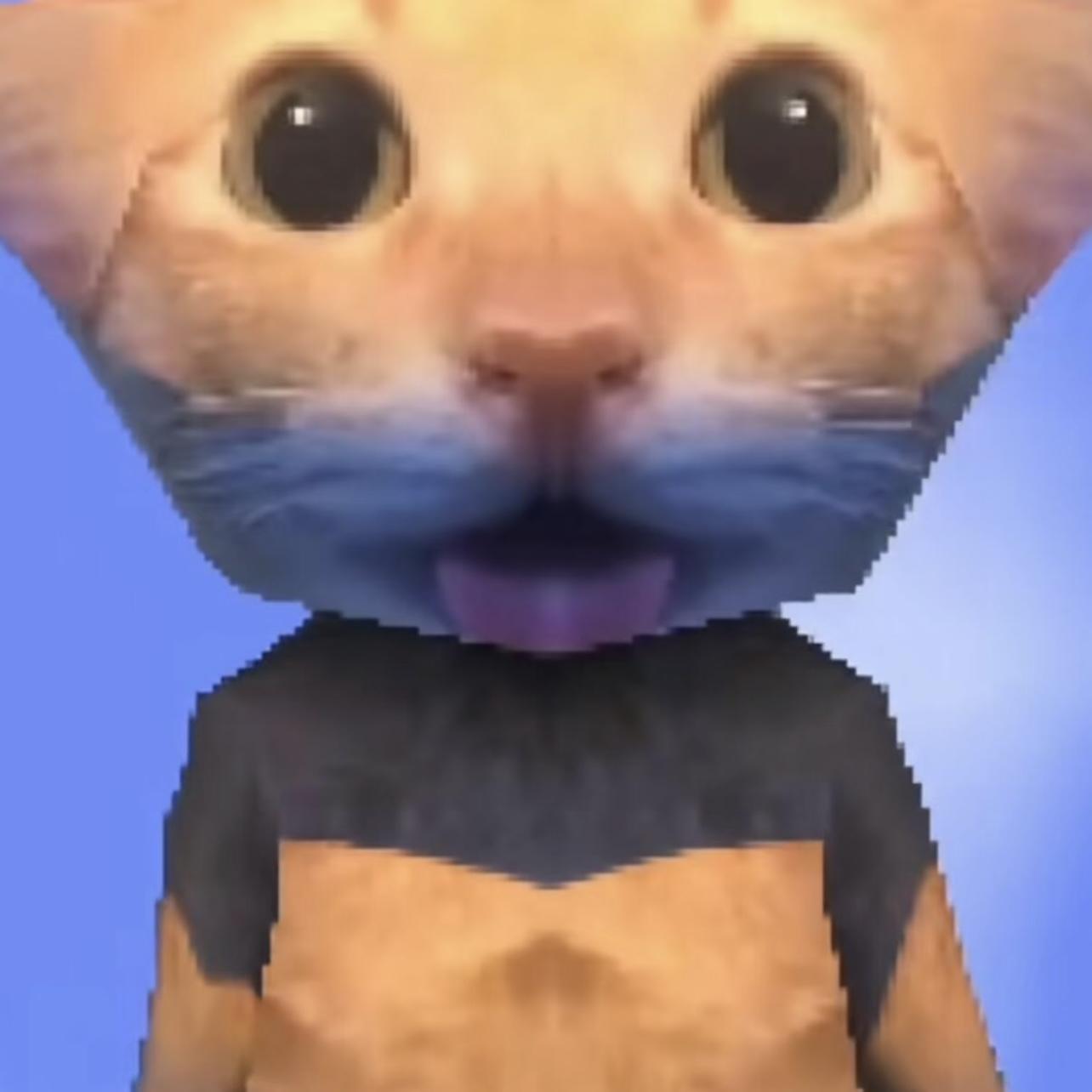 眼睛瞎在小猫上