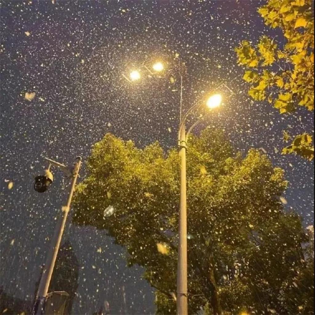 没有答案的答案