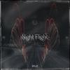 MSE - Night Flight