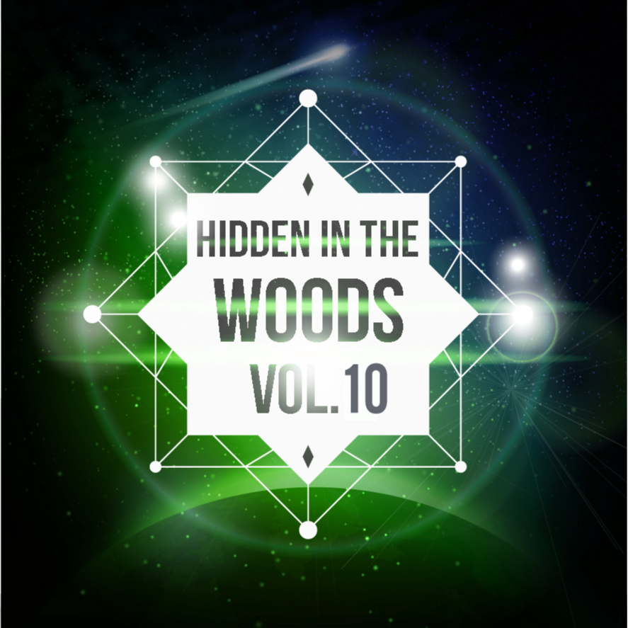 Hidden In The Woods Vol.10专辑