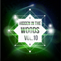 Hidden In The Woods Vol.10专辑