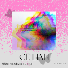 侧脸(HardMix)