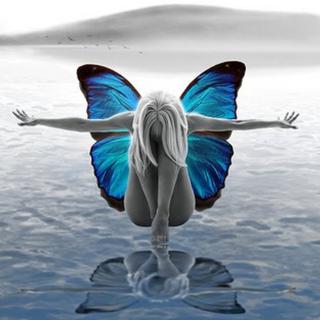 化茧成蝶‖Melodic Bass