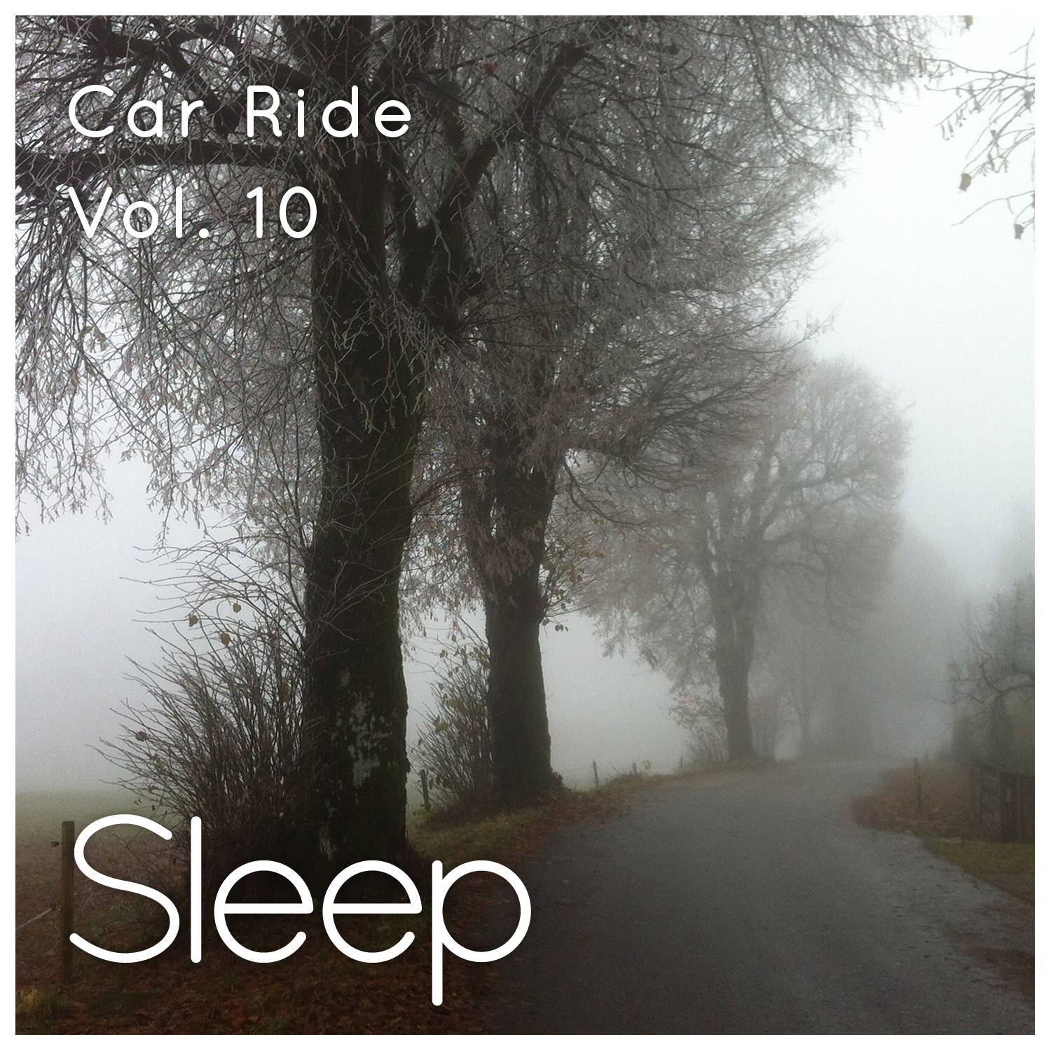 Sleeping in the Backseat of a Car, Vol. 10专辑