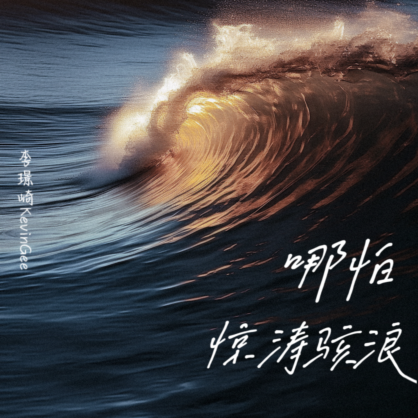 哪怕惊涛骇浪（DJ版）
