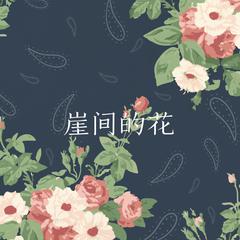 崖间的花