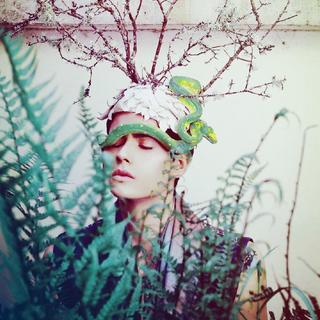 小众精选 | 冷门红心歌曲捕捞计划