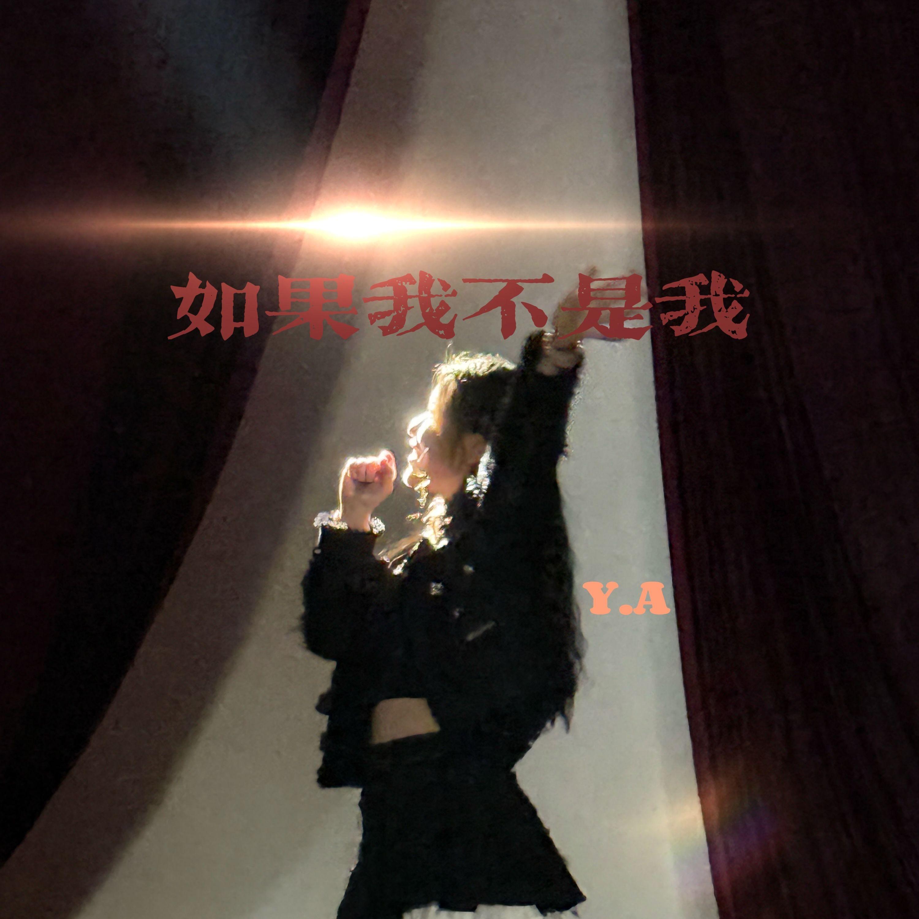 如果我不是我