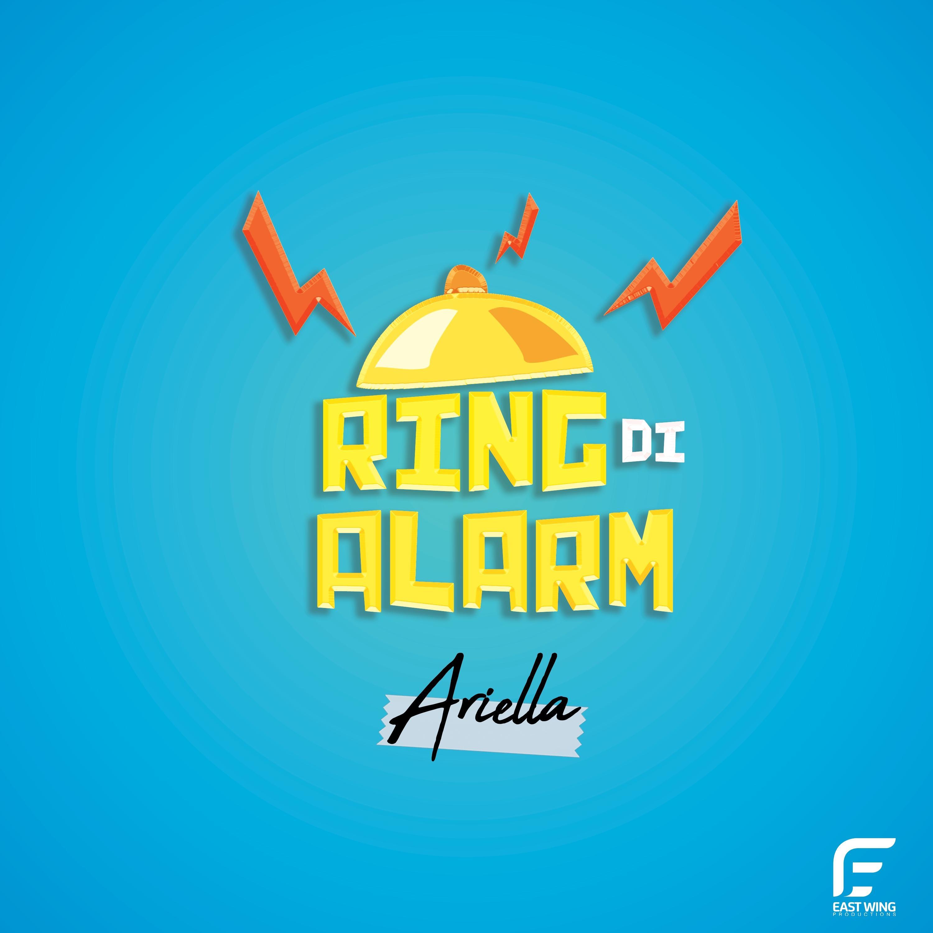 Ring Di Alarm