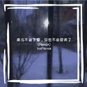 南方不会下雪，你也不会回来了（Remix）