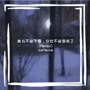 南方不会下雪，你也不会回来了（remix）