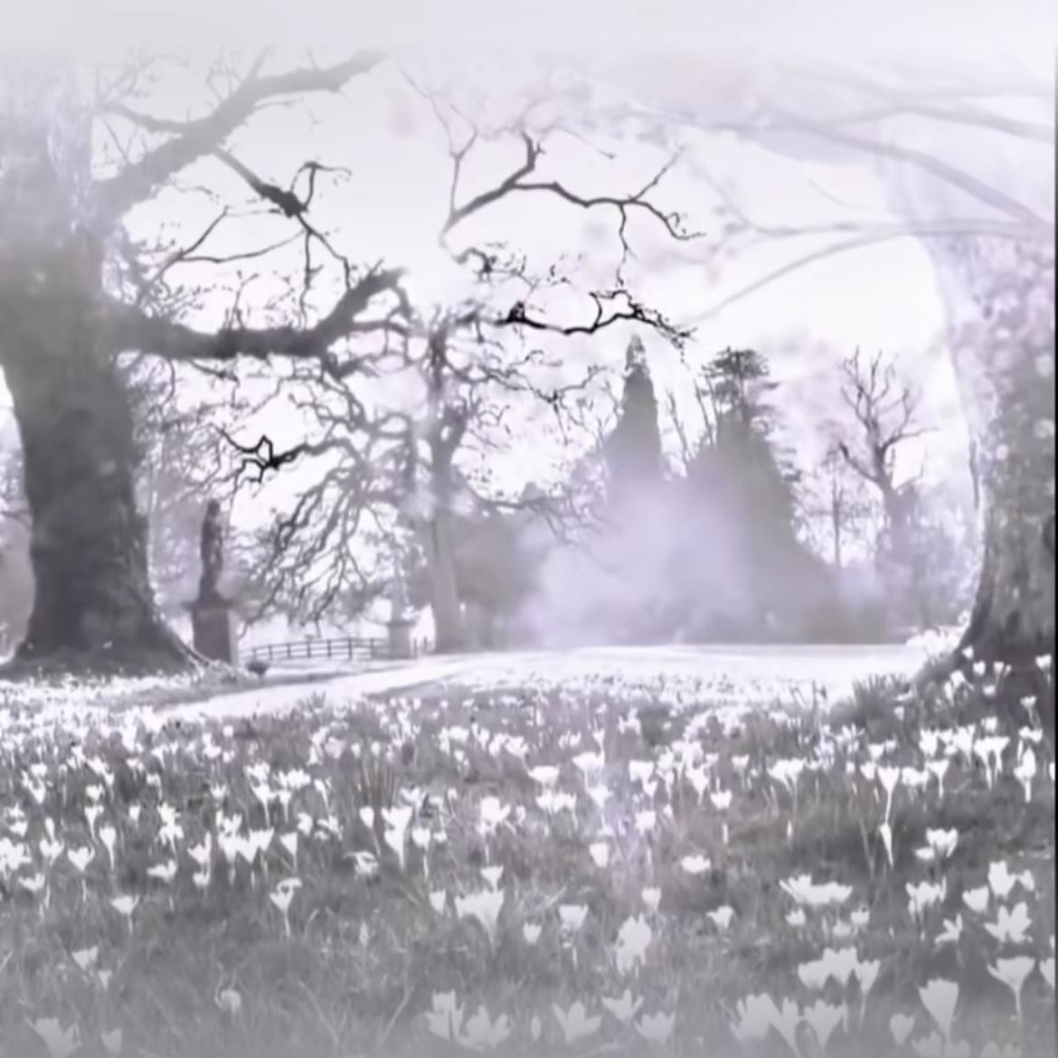 Sicke-Улетали Птицами Гордыми间奏（秋枫泽也 remix）