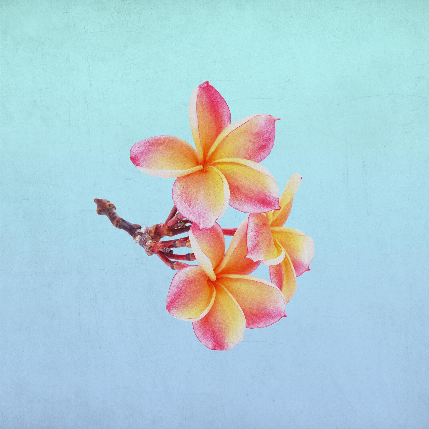 Over Getting Over You