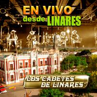 原版伴奏   Los Cadetes De Linares - El Palomito (karaoke)