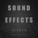 Sound Effects Alerts Voice Bell Zips专辑