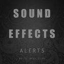 Sound Effects Alerts Voice Bell Zips专辑