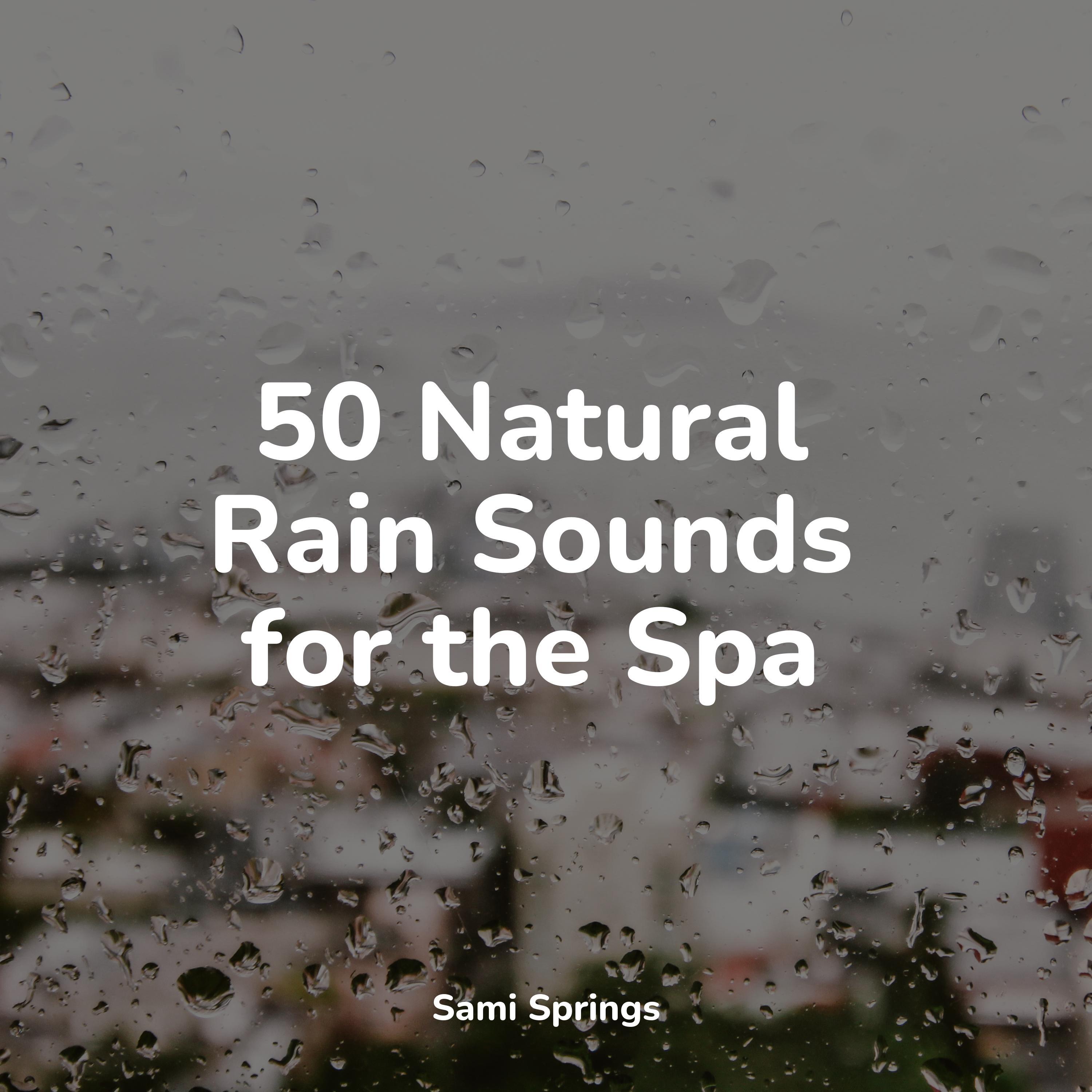 50 Loopable Rain & Thunderstorms