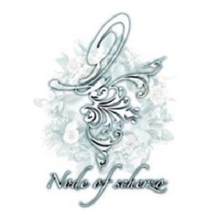 Node of scherzo 