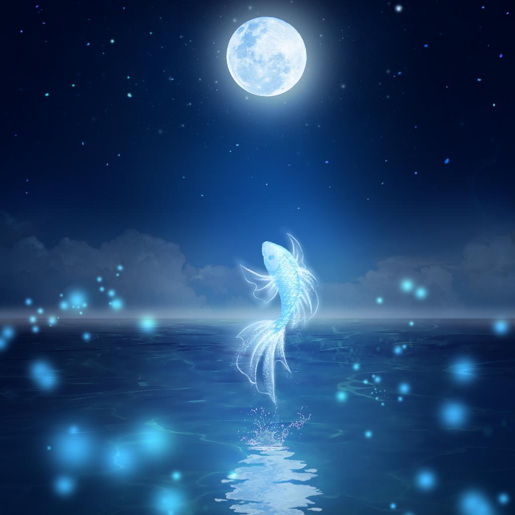 长情·肖宇梁原创应援曲