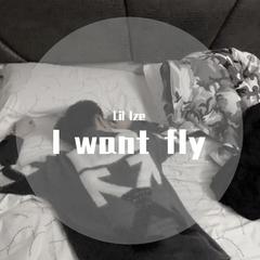 I want fly