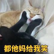 弄弄白相相