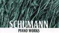 Schumann: Piano Works专辑