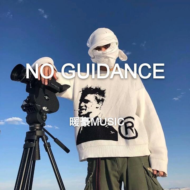 No Guidance
